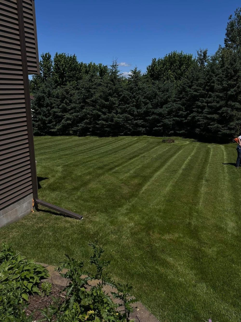 Lawn Care & Maintenance