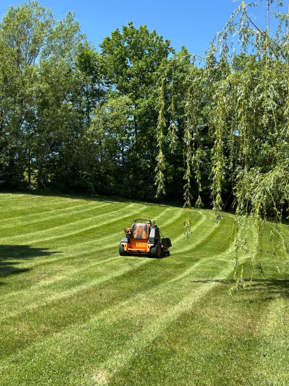 Lawn Care & Maintenance